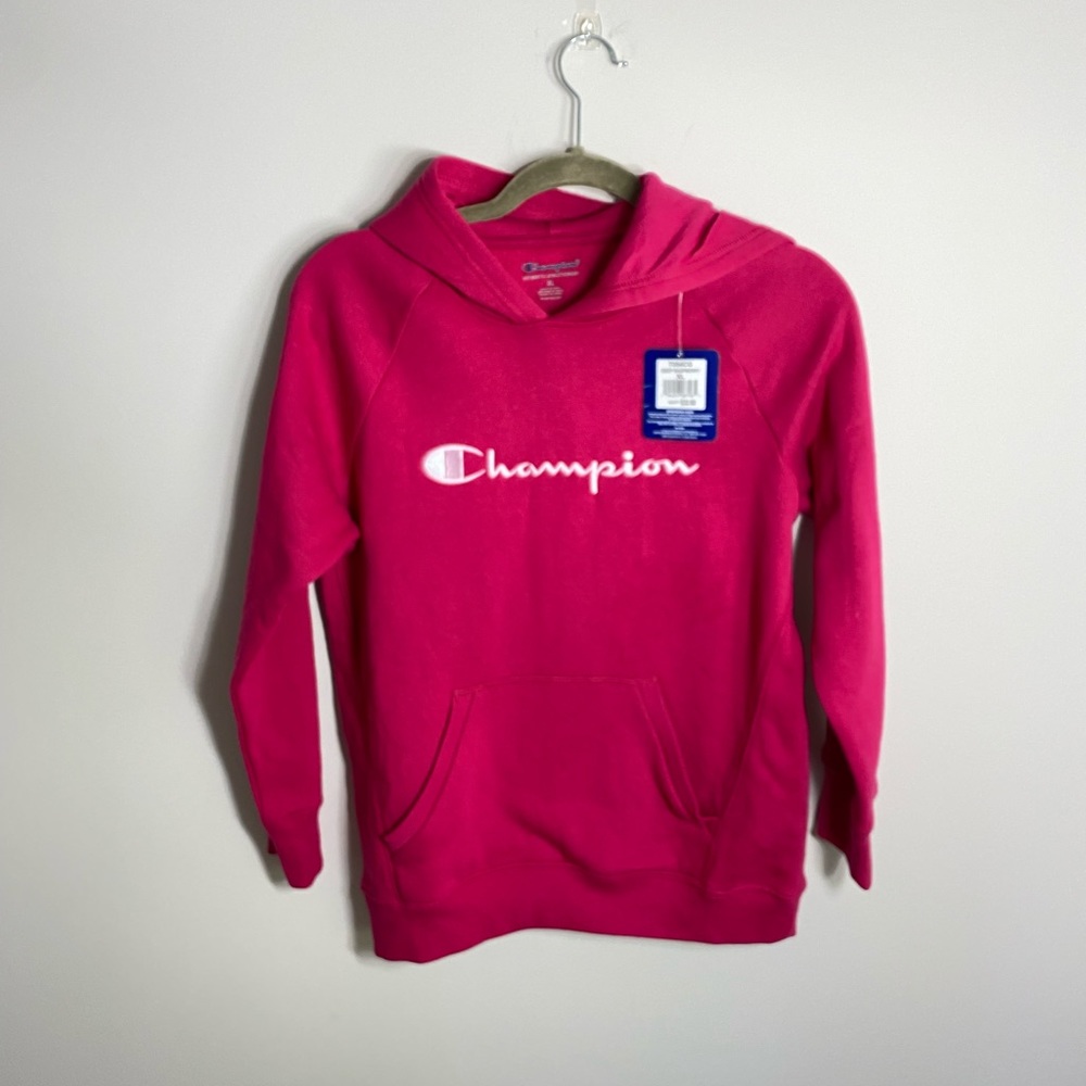 NWT Champion Hooded Sweatshirt - Picture 1 of 13